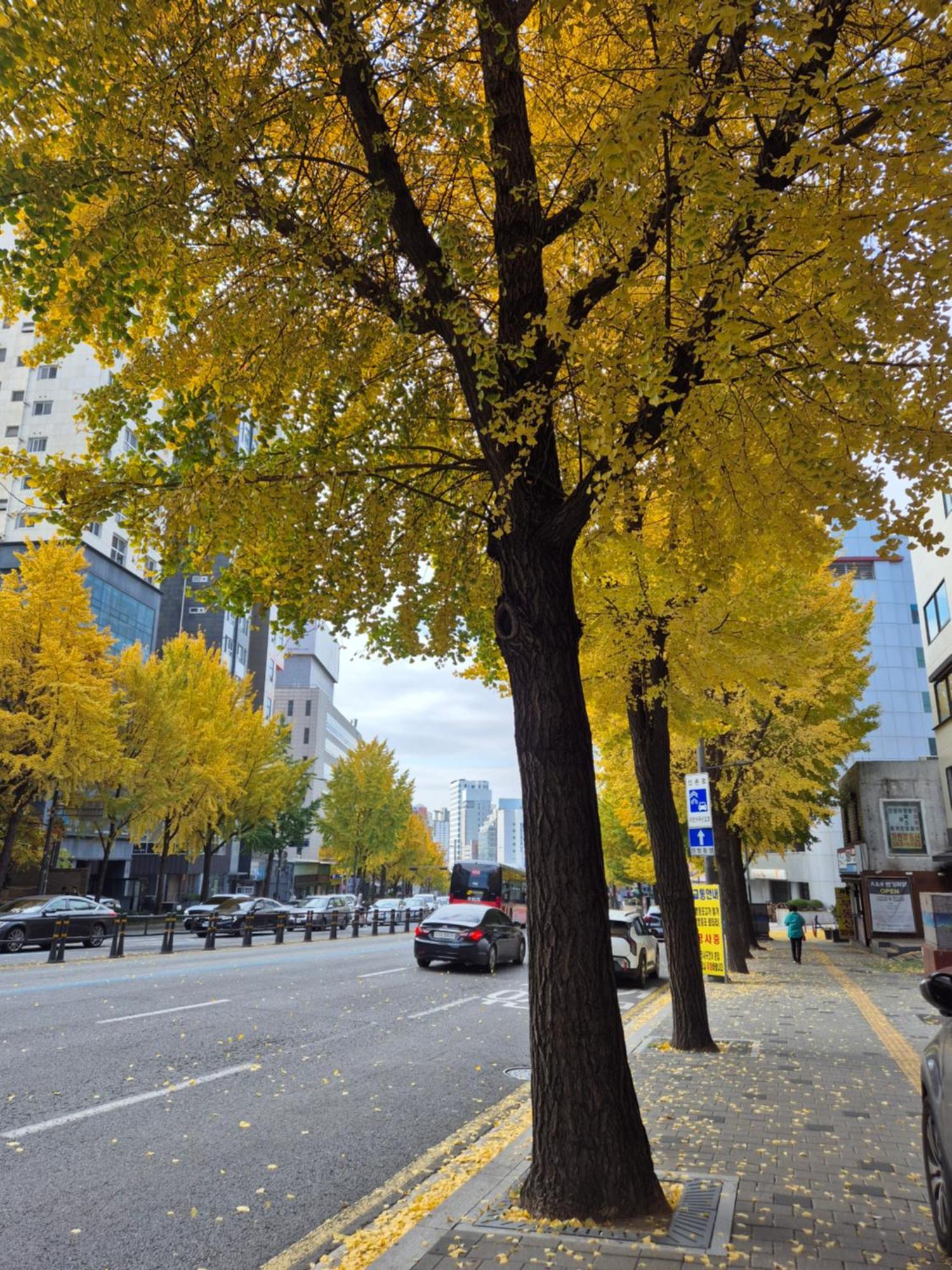 Let'S Stay Seoul Bagian luar foto
