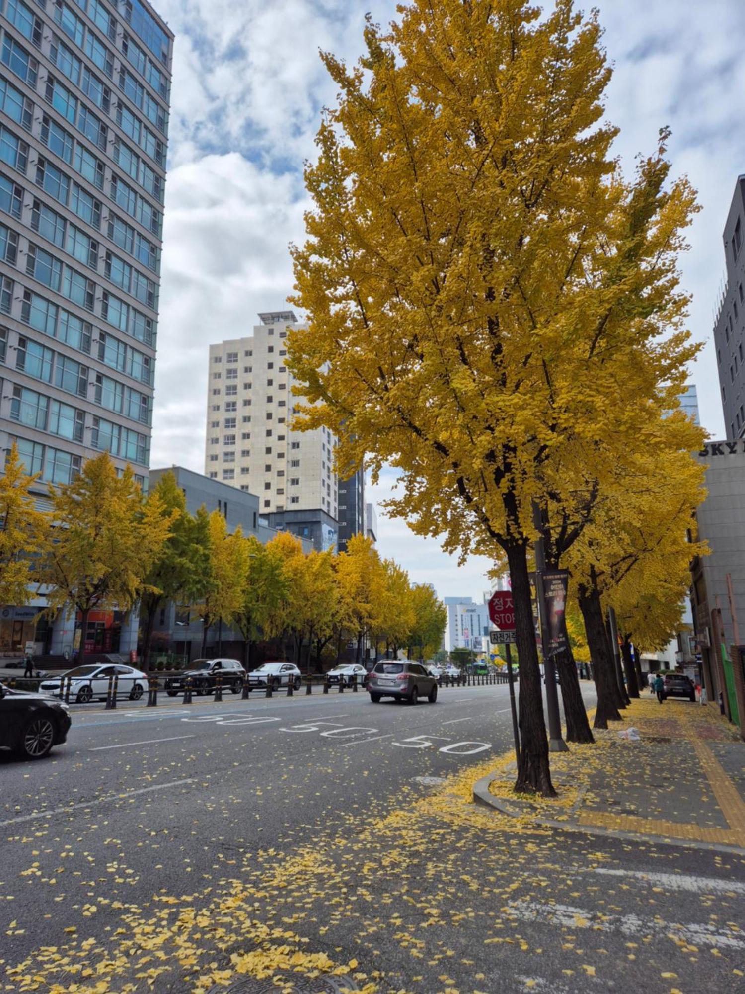 Let'S Stay Seoul Bagian luar foto